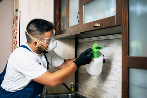 Best Mosquito Control Services  in Sebewaing, MI