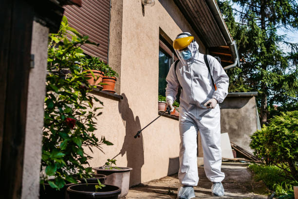 Best Best Pest Control Companies  in Sebewaing, MI