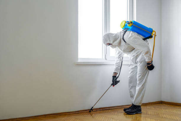 Best Flea Control Services  in Sebewaing, MI