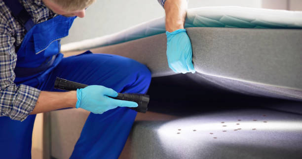 Reliable Sebewaing, MI Pest Control Solutions