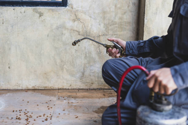 Professional Pest Control in Sebewaing, MI
