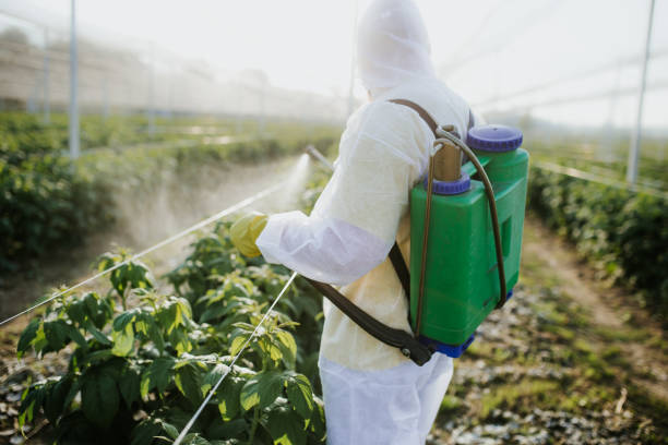 Best Local Pest Control Services  in Sebewaing, MI